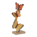 Amber Gradient Butterfly Stack Set Of 2
