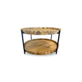 Ameesha Coffee Table 18H X 35W X 35D