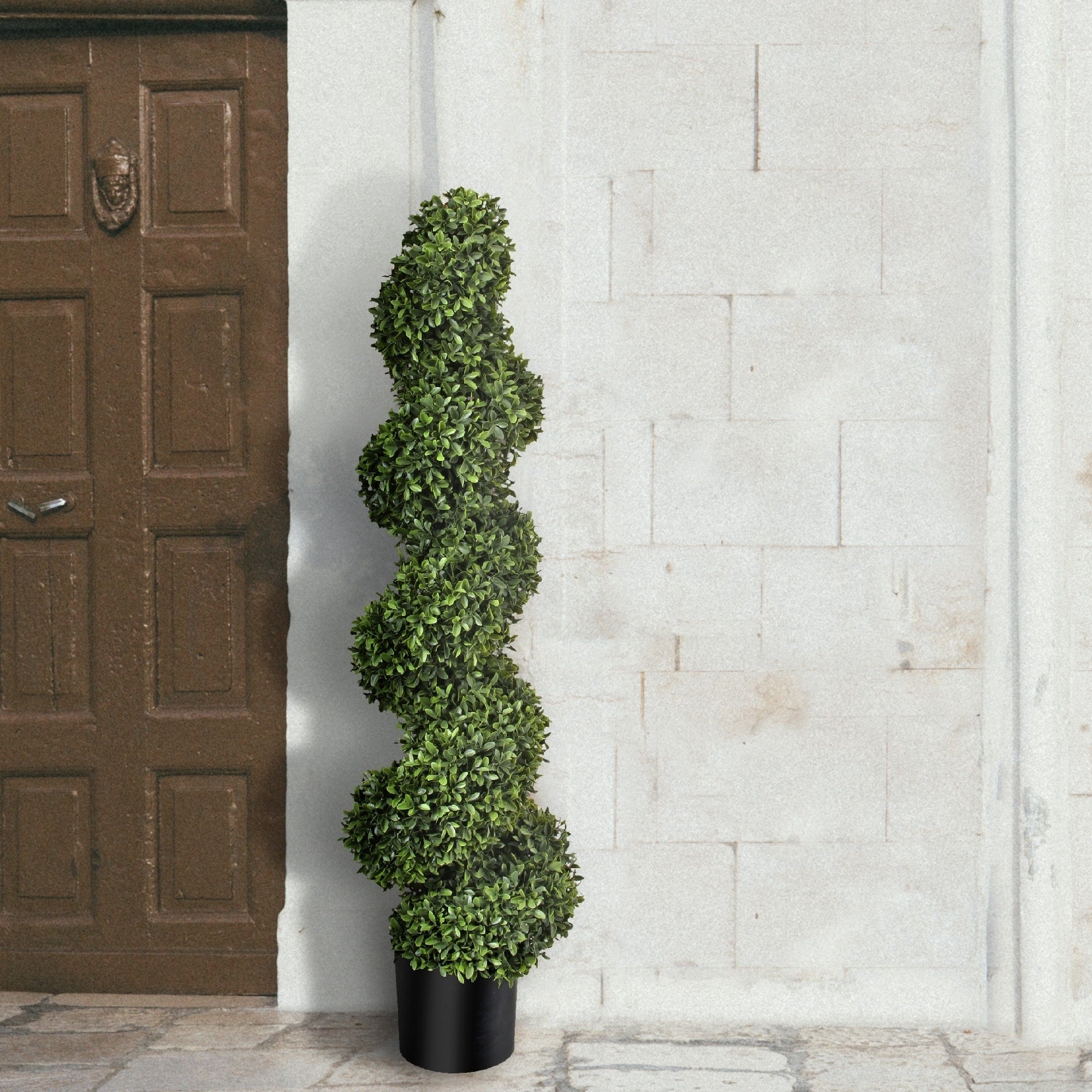 American Boxwood Spiral Topiary 47 Plastic