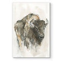 American Buffalo I Premium Gallery Wrapped Canvas