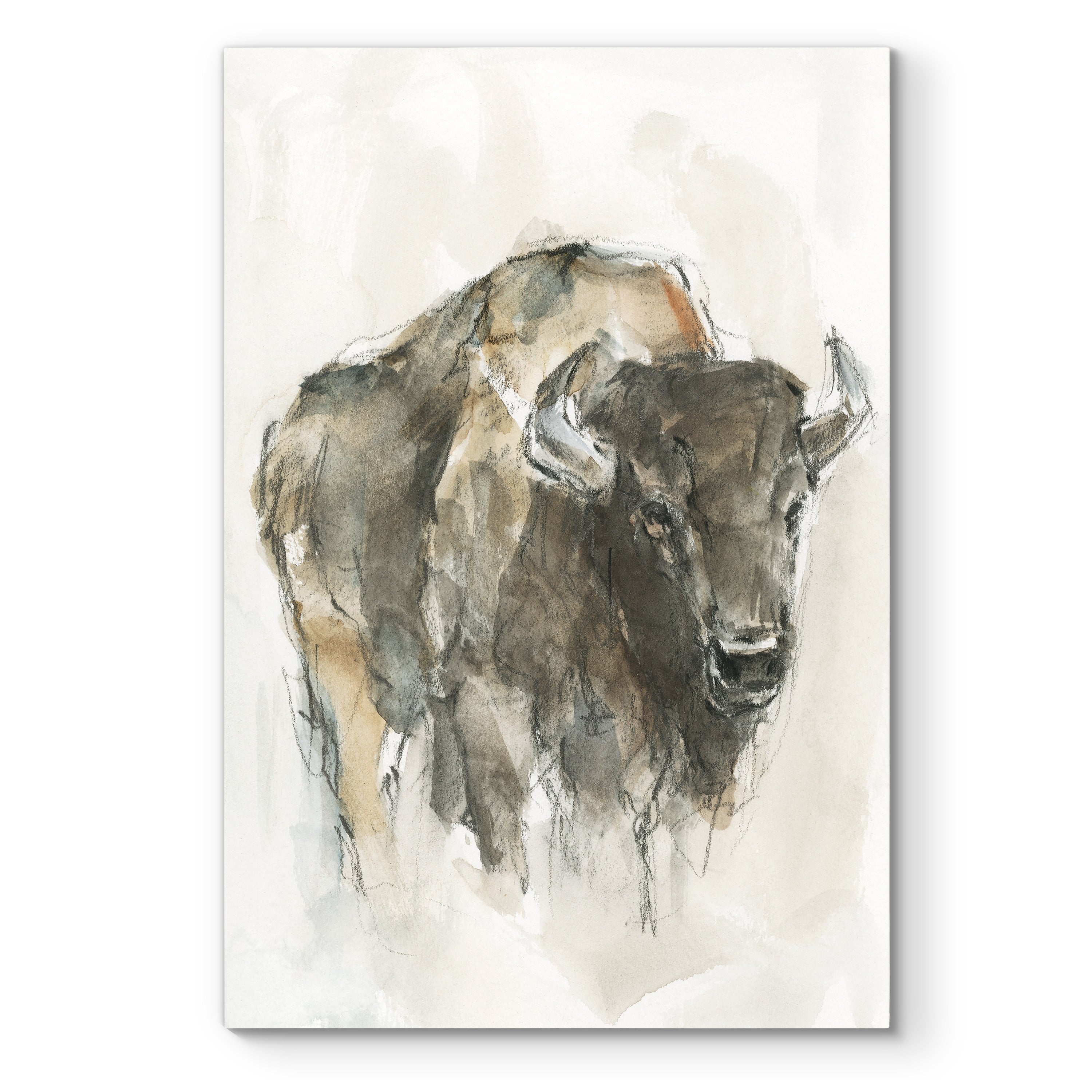 American Buffalo I Premium Gallery Wrapped Canvas