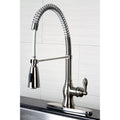 American Classic Single Handle Pre Rinse Kitchen Faucet