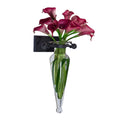 Clear Amphora Vase With Iron Sconce