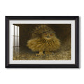 An Eagle Owl 1905 Bruno Liljefors Custom Framed Print