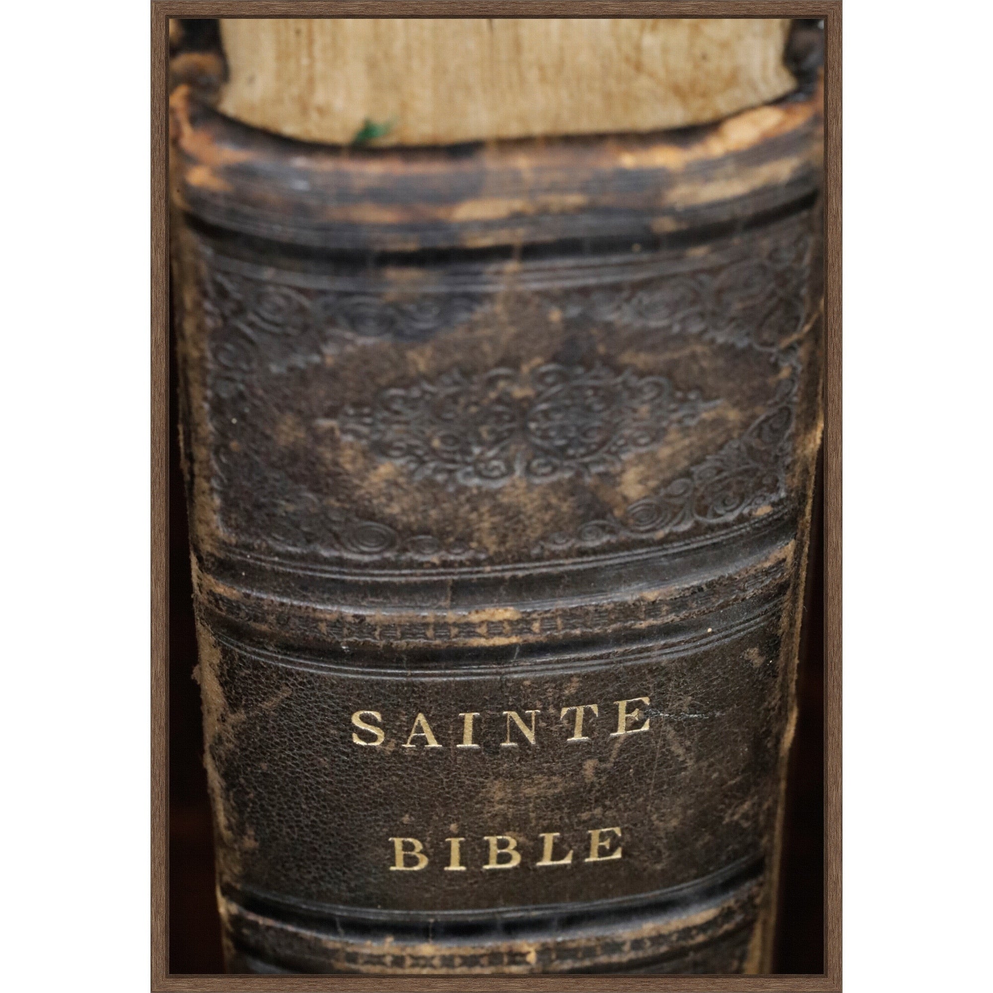 Ancient Bible Framed Canvas Wall Art Print