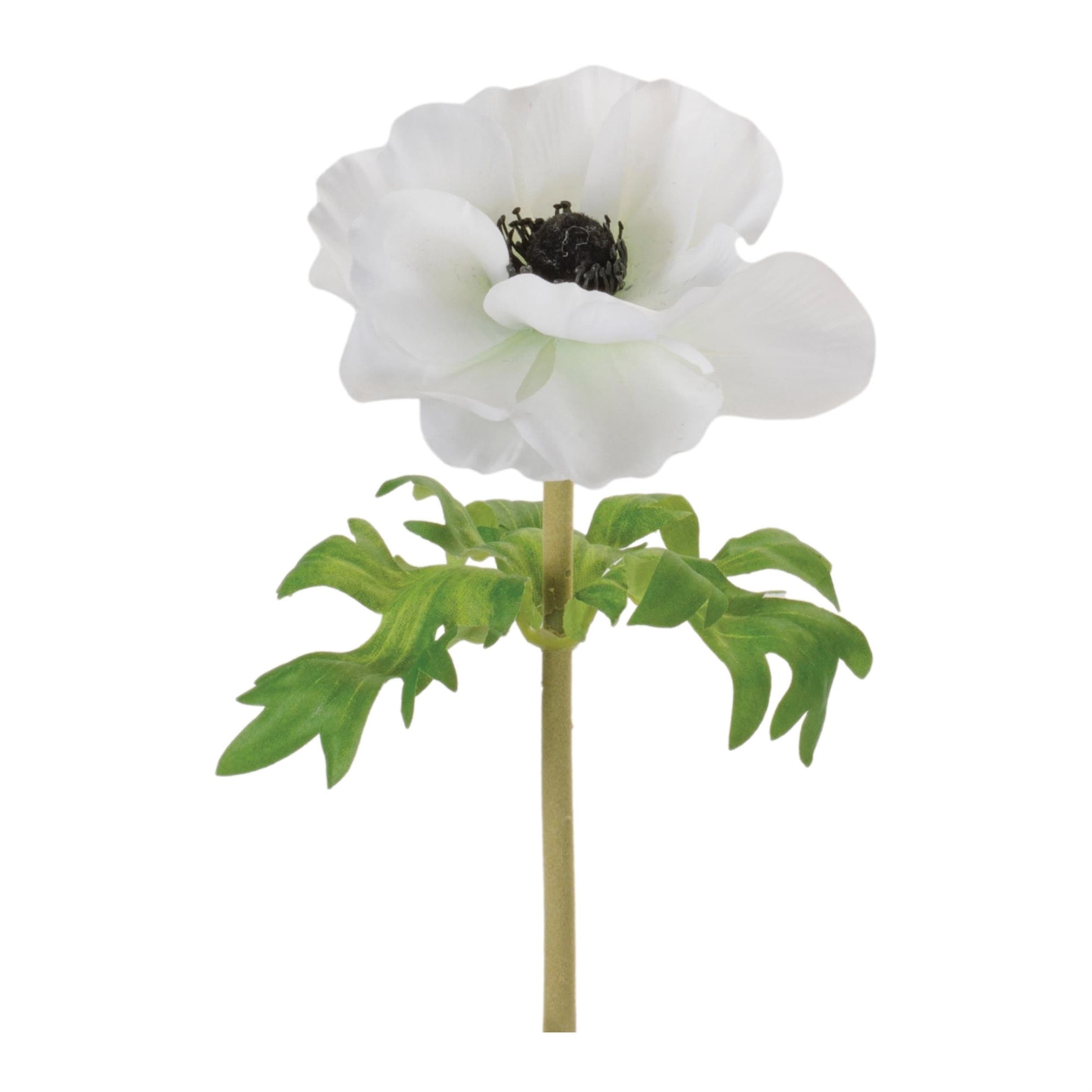 Anemone Floral Stem Set Of 6