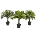 Areca Fountain Banana Palm Set Of 3
