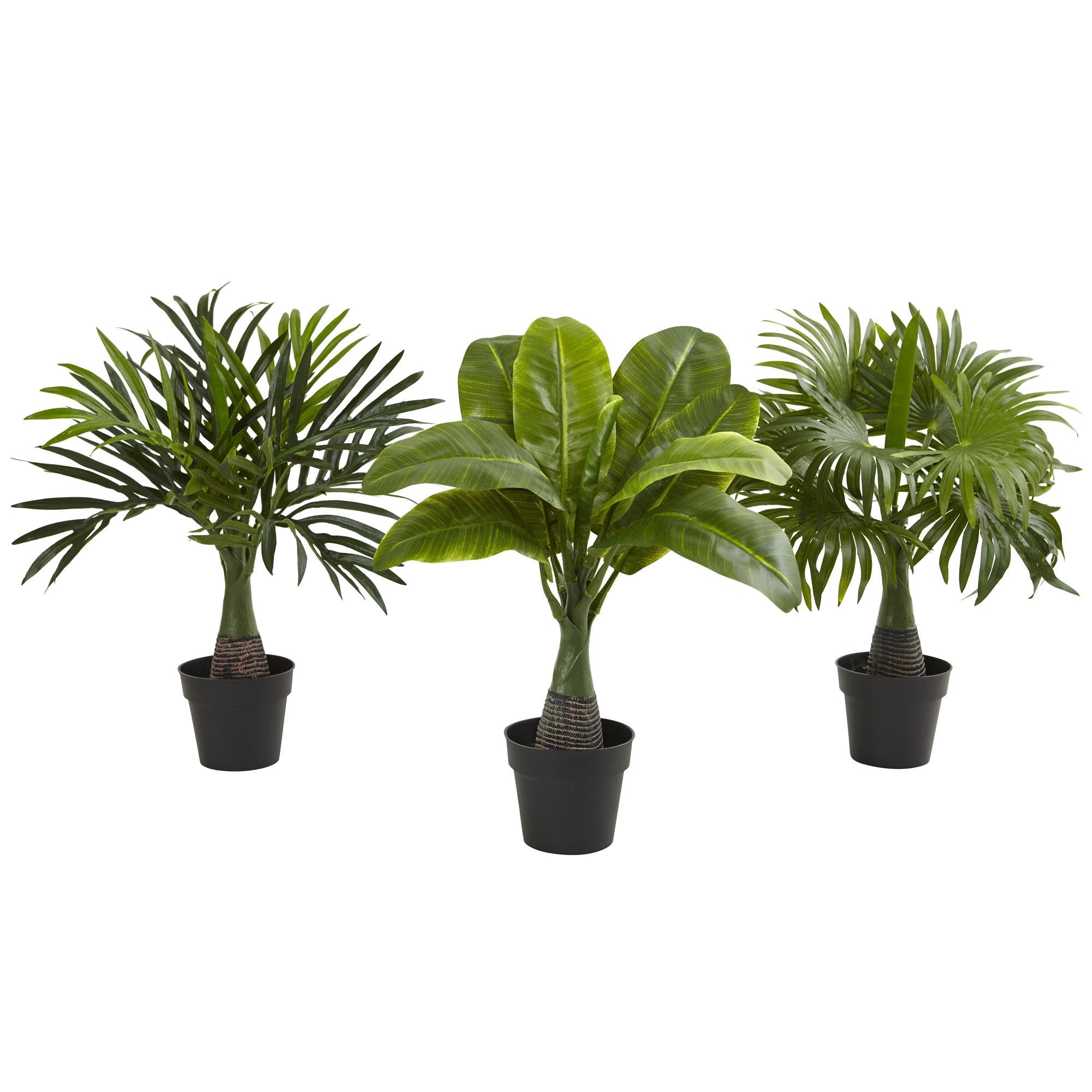Areca Fountain Banana Palm Set Of 3