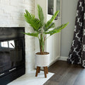 Areca Palm 4Ft Planter On Wood Stand One Size