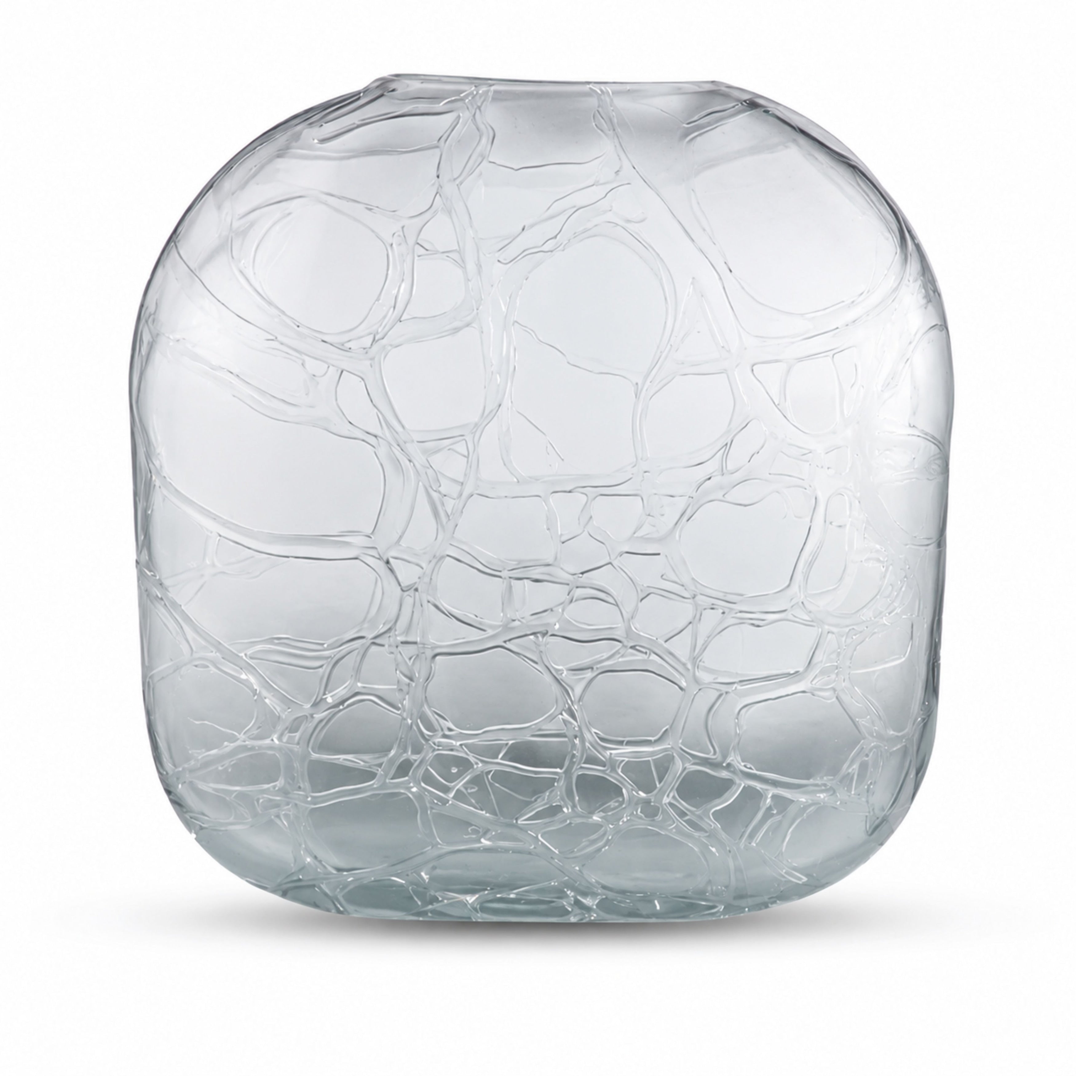 Aria Home Frosted Glass Vase Decorative Accent For Modern Decor