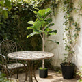 Artificial Fig Tree Potted Plant Used For Home And Office Decoration Green
