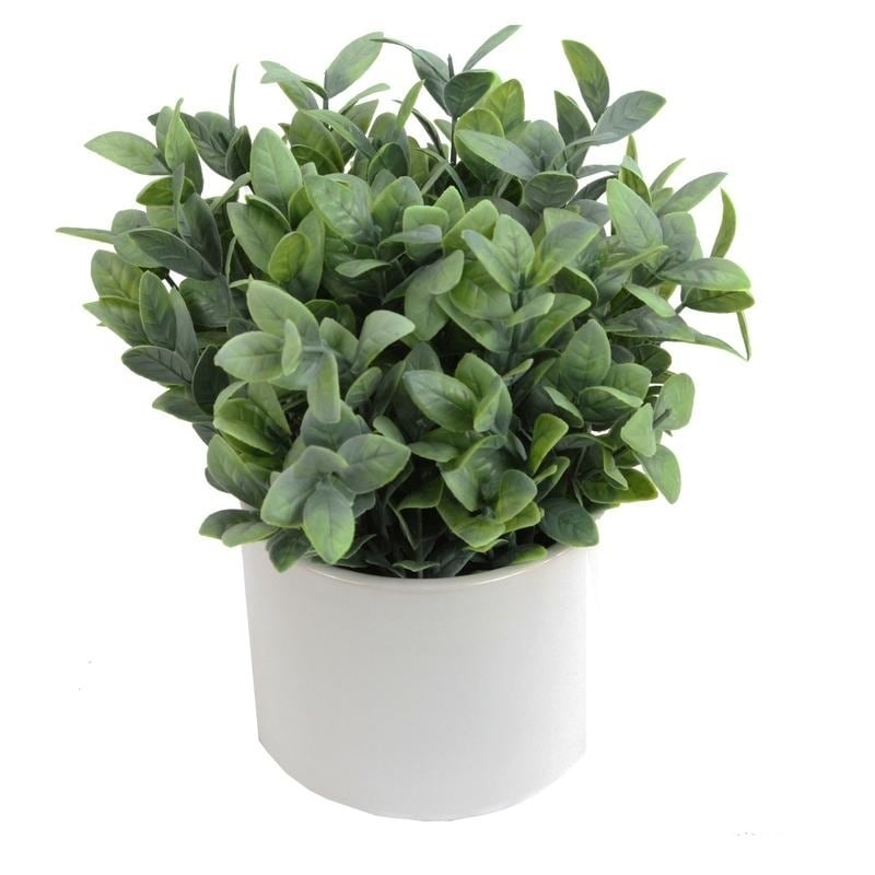 Artificial Frosted Ruscus Plant With Ceramic Pot. Green N A
