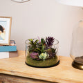 8 Artificial Mixed Succulent Arrangement In Round Glass Jar 5 Footx8 Foot