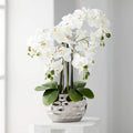 Artificial Orchid Phalaenopsis Plant Including Metallic Silver Vase 24