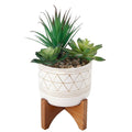 Artificial Plant Succulent In Gold Handpiant 5 Ceramic Footed Stand One Size