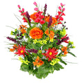 Admired By Nature Artificial Silk Dahlia Morning Glory And Ranunculus 30 Stem Mixed Bush Plant