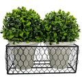 Artificial Topiary Ball 2 Pack 5 Inches Faux Boxwood Ball In A Decorative Metal Basket