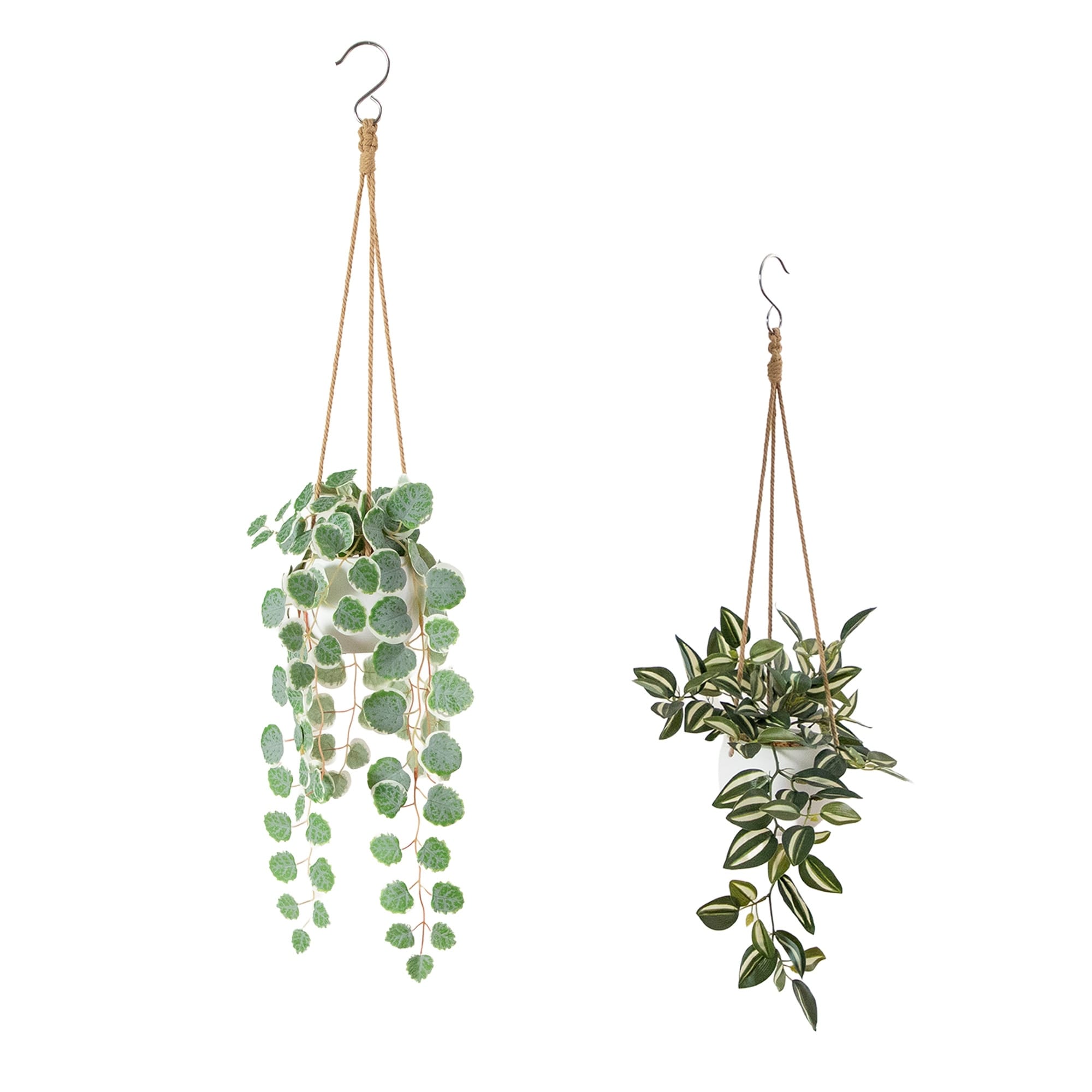 Artificial Wandering Jew String Of Hearts Hanging Plant Set Of 2