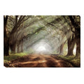 Artistic Home Gallery Mike Jones Evergreen Plantation Gallery Wrapped Canvas Wall Art