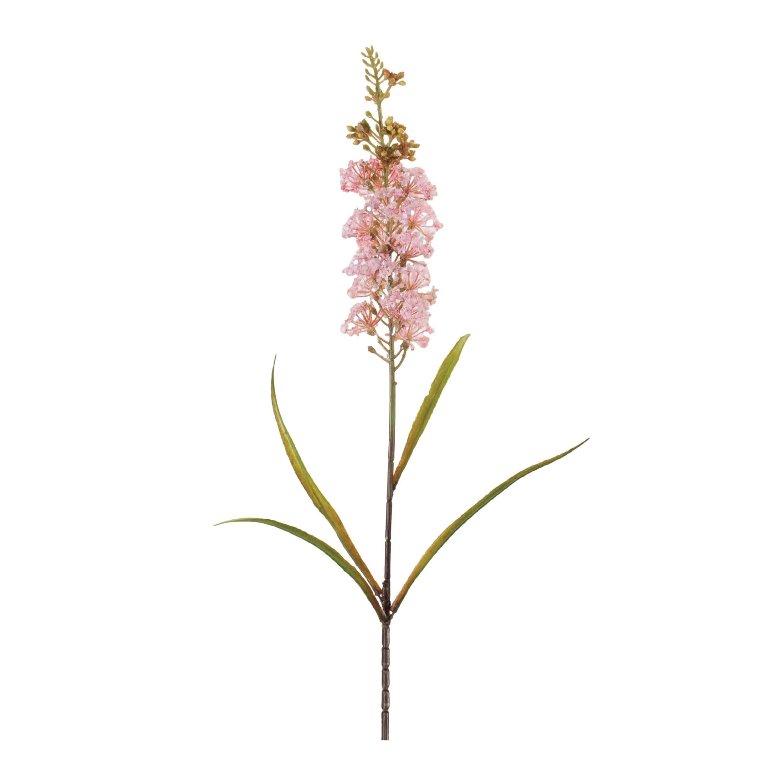 Astilbe Floral Stem Set Of 4