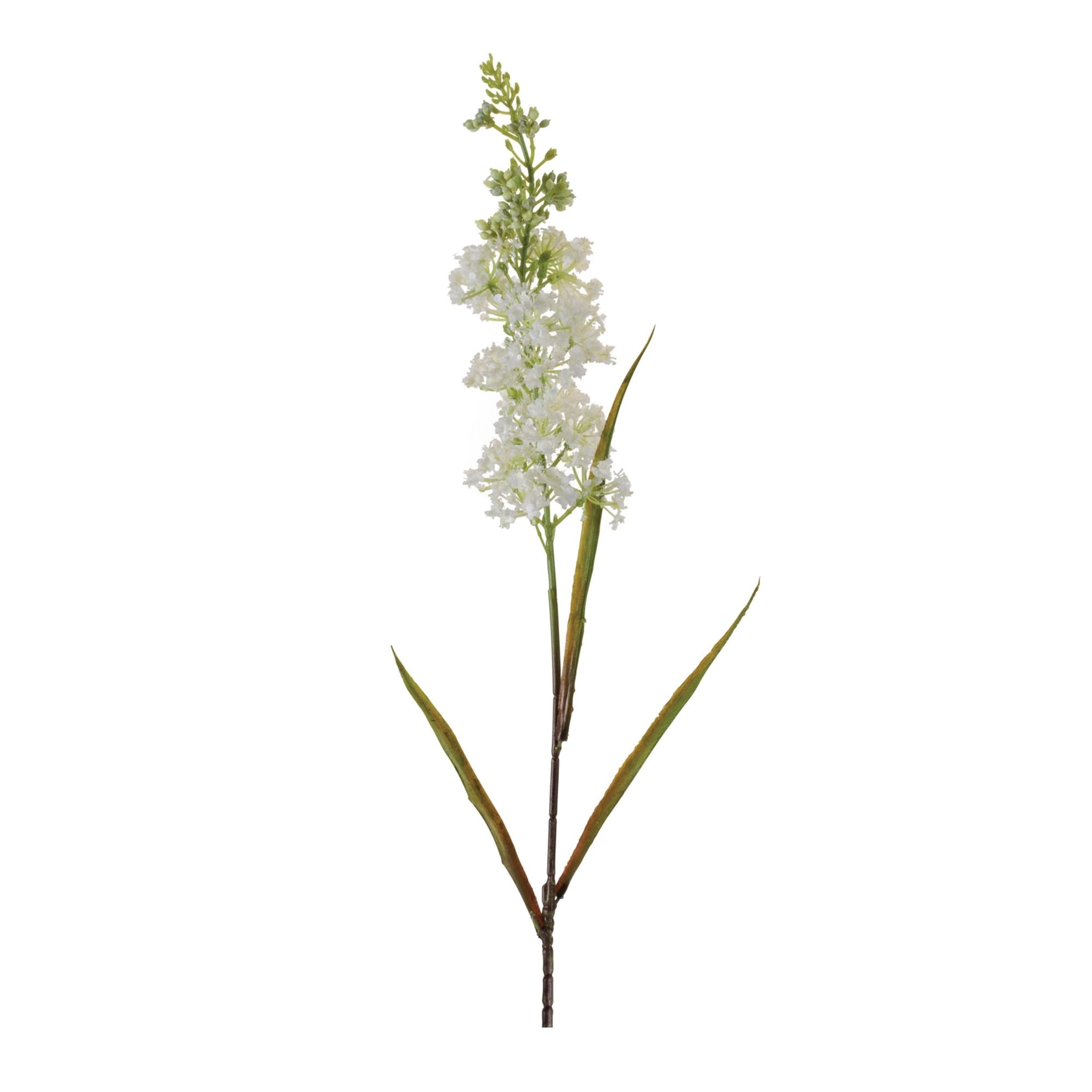 Astilbe Floral Stem Set Of 4