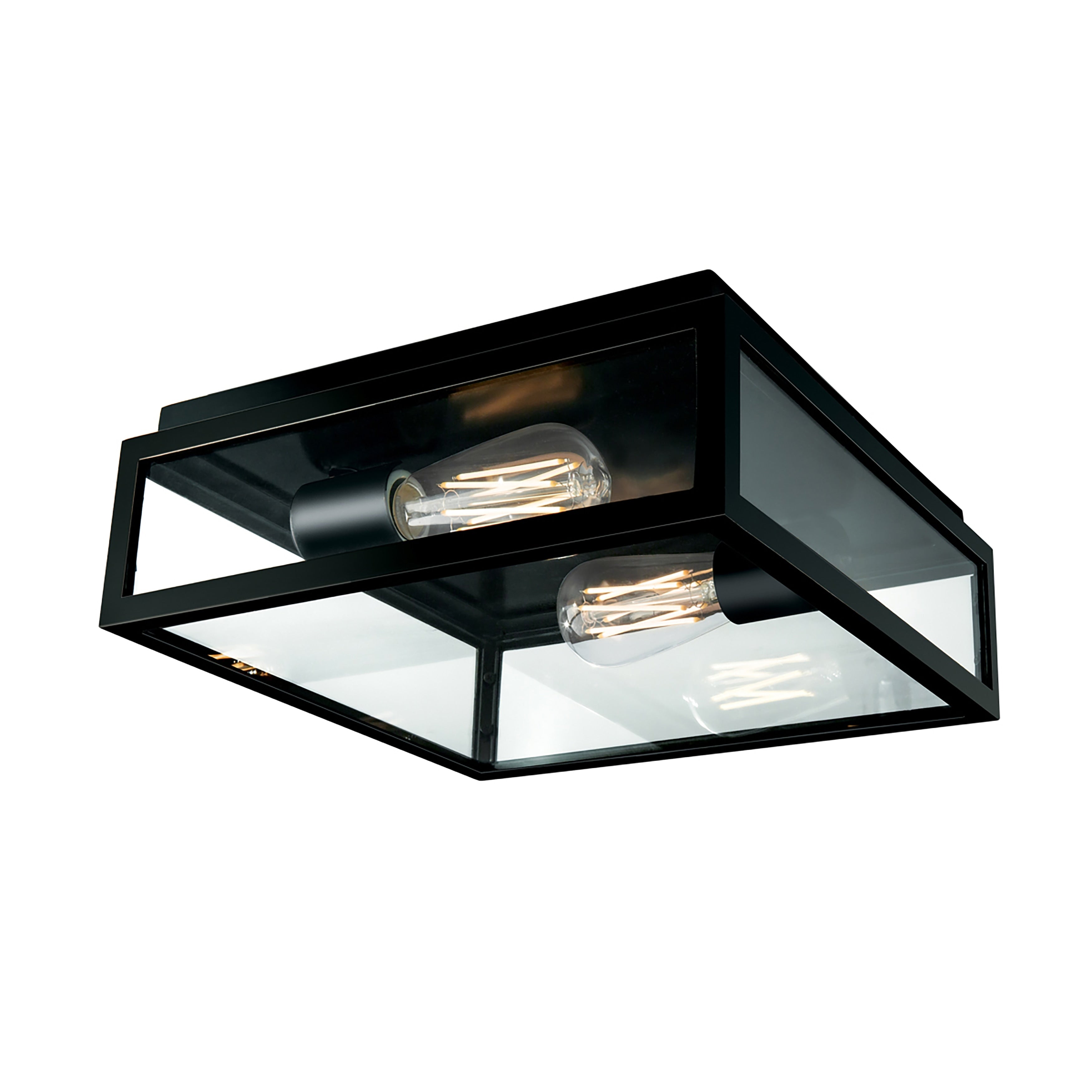 Atlas Lighting Capture Clear Glass And Metal Frame 2 Light Outdoor Flush Mount 12 Inch Wide