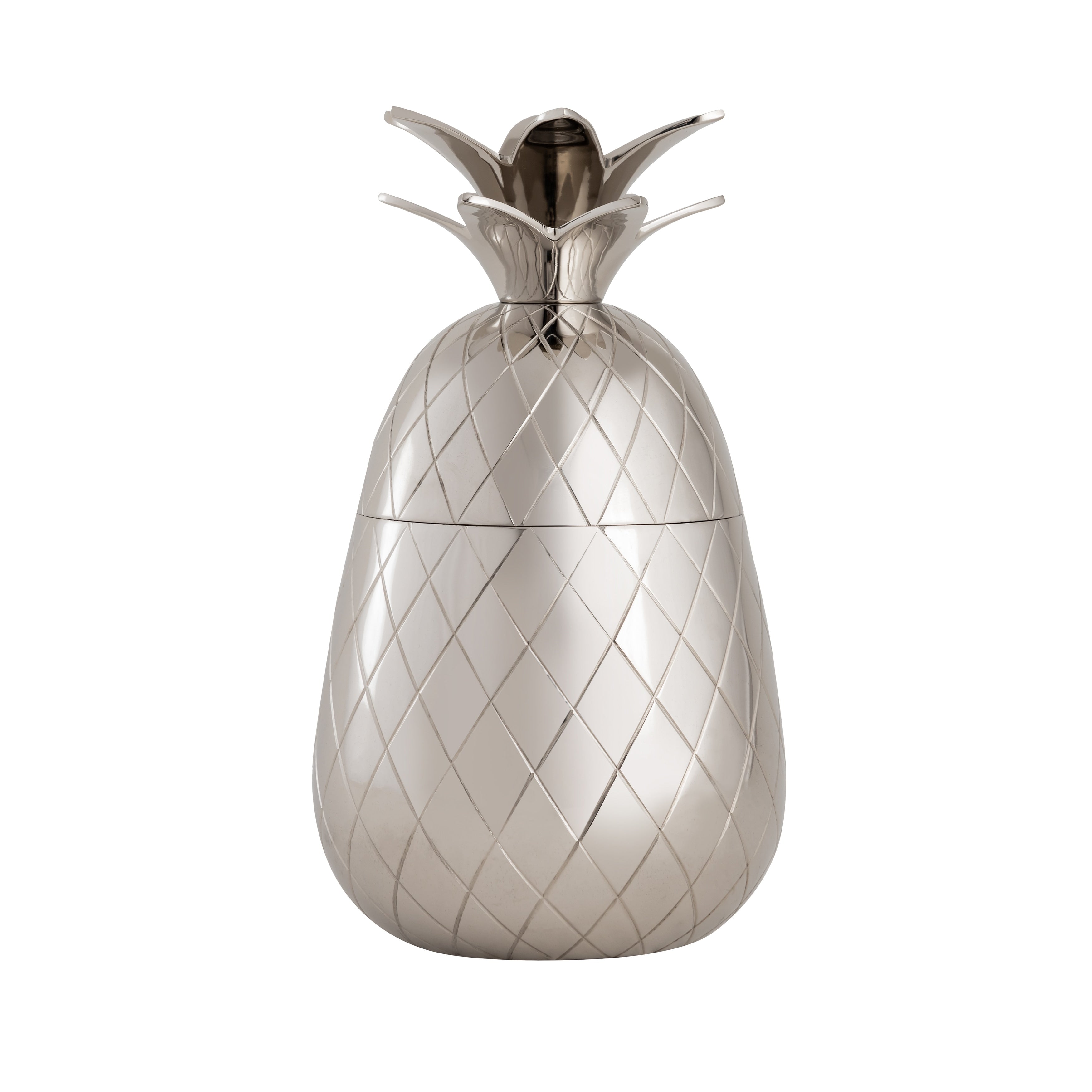 Atlas Little Island Pineapple Silver Storage Box 10 Inch W