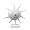 Atlas Marco Shell Textured White