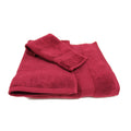 Austin Horn Classics Zero Twist 3 Piece Towel Set