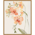 Autumn Orchid Ll By Victoria Barnes Framed Canvas Wall Art Print