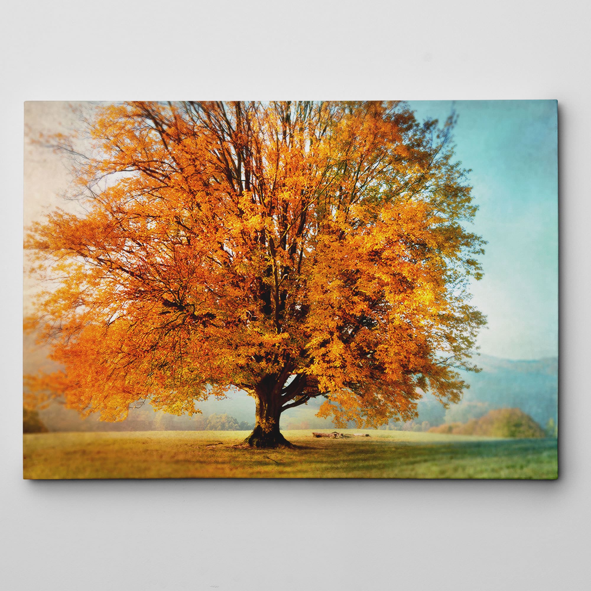 Autumns Passion Canvas Wall Art