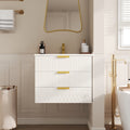 Averna 24 Modern Wall Mounted Bathroom Vanity With Double Drawers And Integrated Ceramic Sink By Gdfstudio
