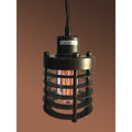 Bailey 1 Light Black 4 Inch Edison Pendant Lamp With Bulb