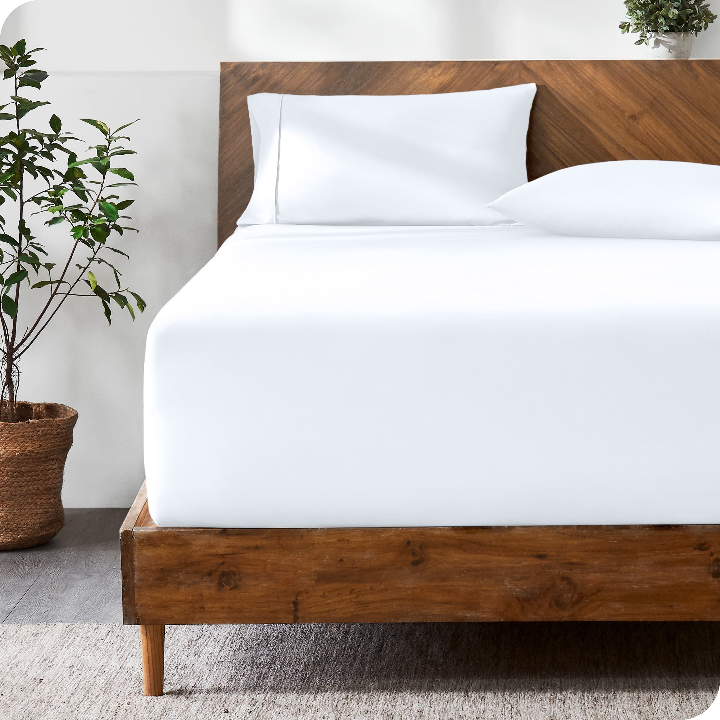Premium Ultra Soft 21 Inch Extra Deep Pocket Twin Xl Fitted Sheet