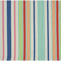 Basic Stripe Printed Napkin Set Of 6