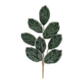 Beaded Magnolia Leaf Spray Set Of 4