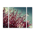 Beata Czyzowska Young For You And Me Three Panel Set Canvas Wall Art Multi