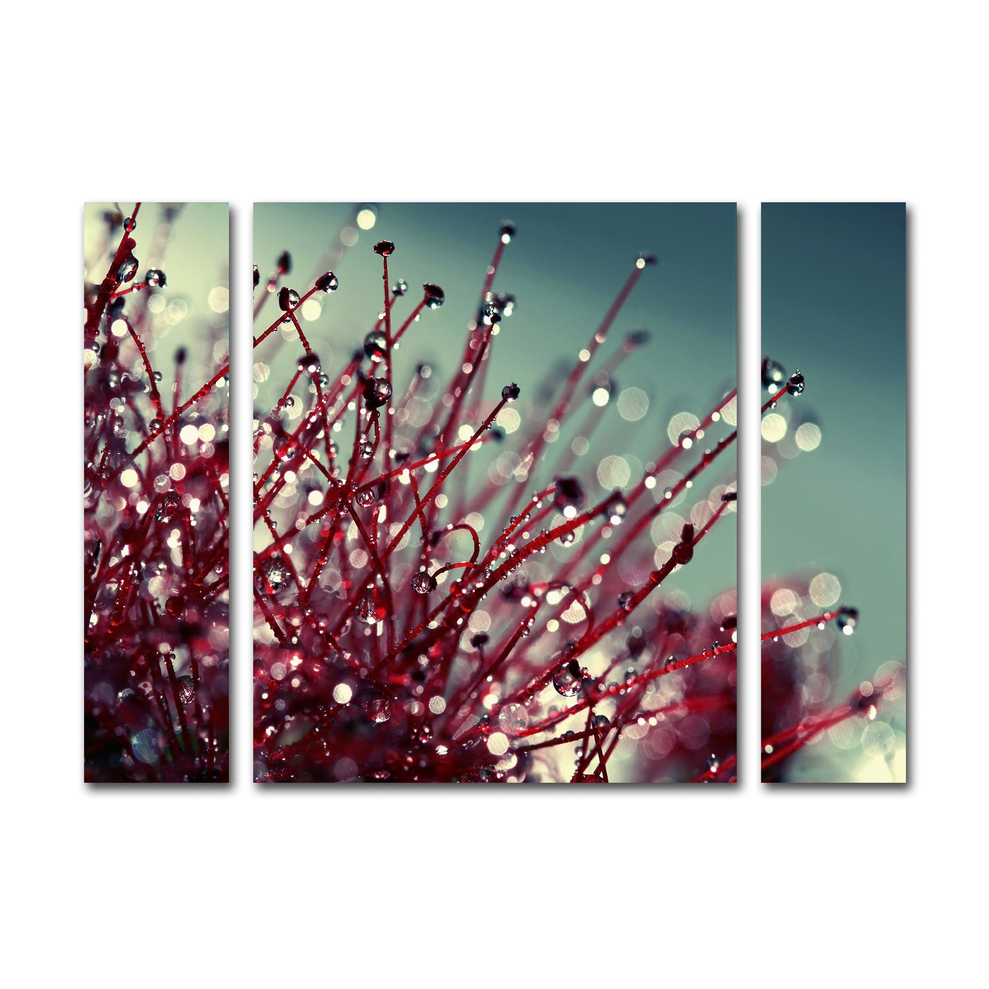 Beata Czyzowska Young For You And Me Three Panel Set Canvas Wall Art Multi