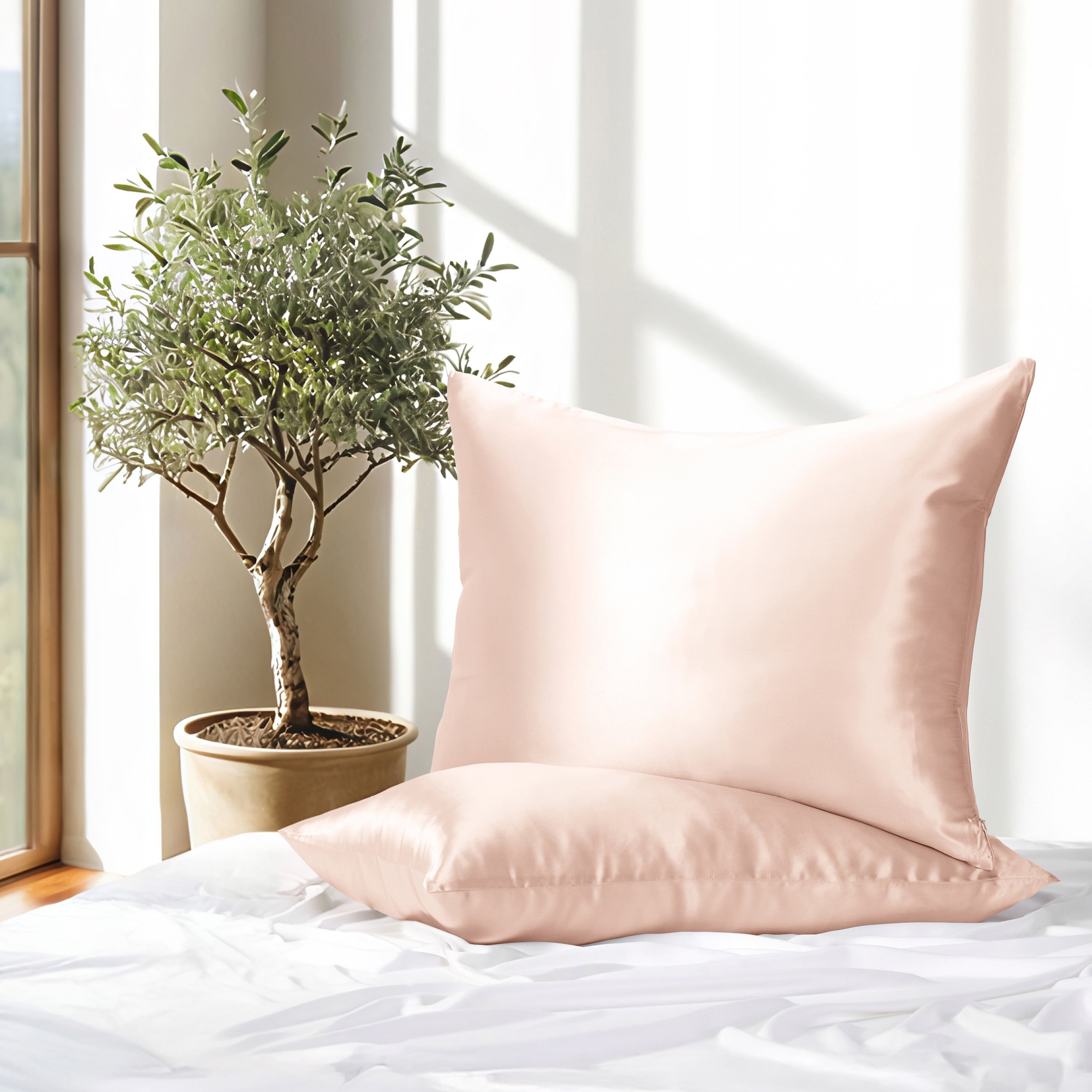 Becky Cameron 100 Mulberry Silk Zippered Pillowcase 2 Piece Set