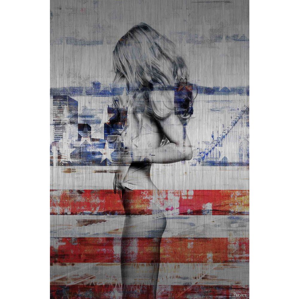 Behind The Stripes Painting Print On Brushed Aluminum Usa