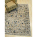 Beige Distressed Bohemian Isabella Rug 8 6 X 1110