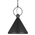 Bellevue Nievre 14 Wide Pendant