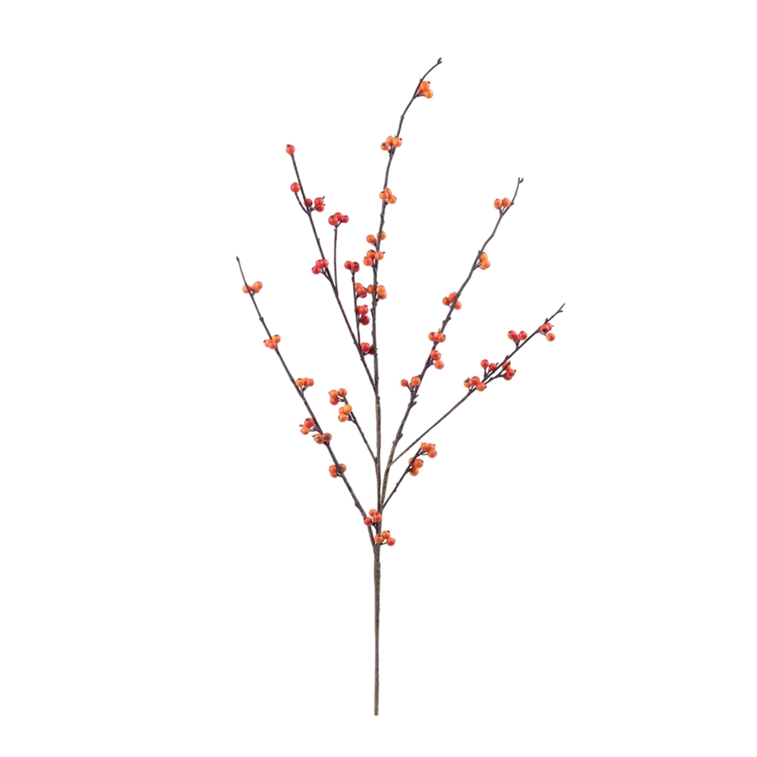 Berry Twig Spray Set Of 4
