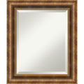 Bathroom Mirror Medium Manhattan Bronze