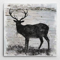 Wexford Home Birchbark Deer Wrapped Canvas