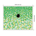 Black Cat In Flower Field By Gabriela Avila Framed Canvas Wall Art Print