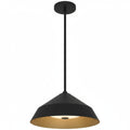 Black Integrated Led Pendant Light