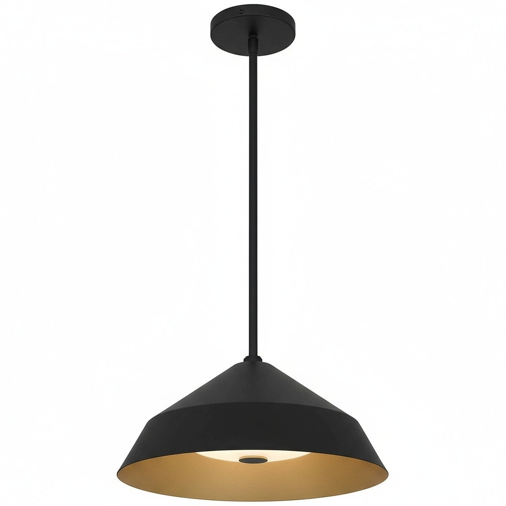 Black Integrated Led Pendant Light