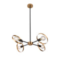 Black Metal Ceiling Fixture With Adjustable Arms