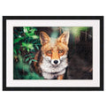 Black Wood Puzzle Frame Kit With Glue Sheets White Mat Backing Uv Acrylic Available In 20 Popular Sizes